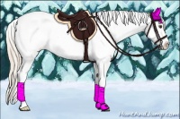 Horse Color:Palomino Dun Tobiano Near Leopard