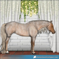 Horse Color:Chocolate Palomino Roan 