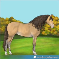 Horse Color:Amber Cream Champagne 