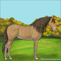 Horse Color:Classic Cream Champagne 