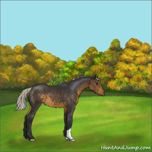 Horse Color:Silver Buckskin 