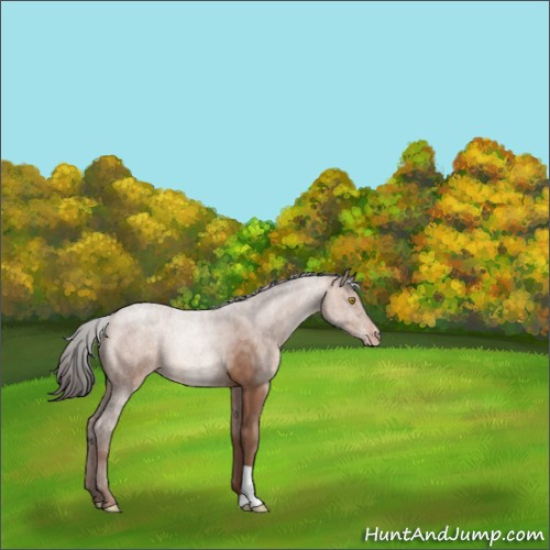 Horse Color:Sable Champagne 