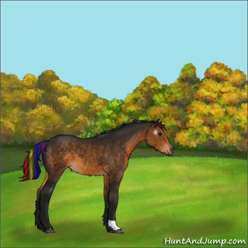 Horse Color:Gray Painted Buckskin 