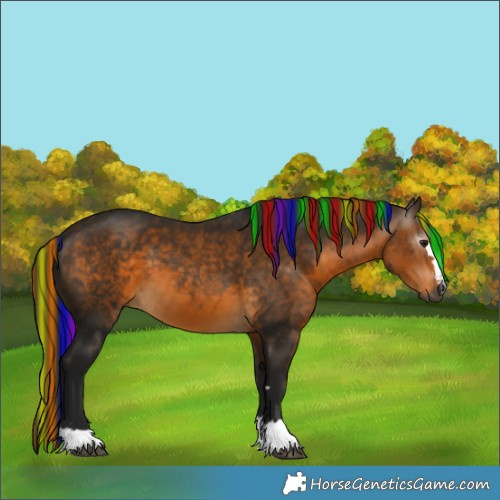 Horse Color:Gray Painted Buckskin 