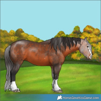 Horse Color:Brown 