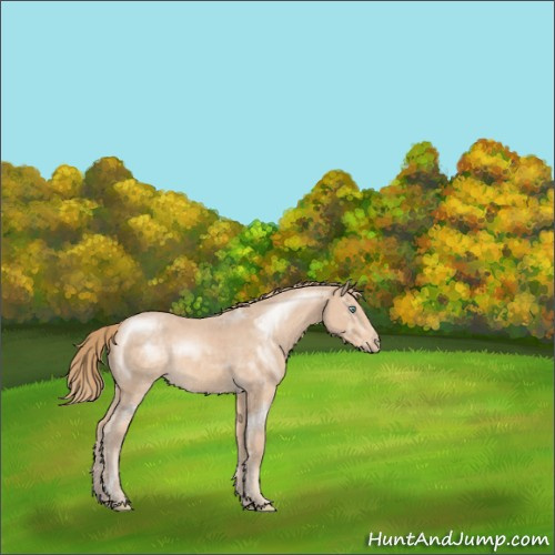 Horse Color:Perlino 