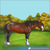 Horse Color:Brown 