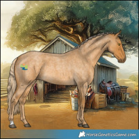 Horse Color:Palomino Roan 