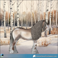 Horse Color:Liver Red Dun Onyx Mushroom Sabino Splash Rabicano 