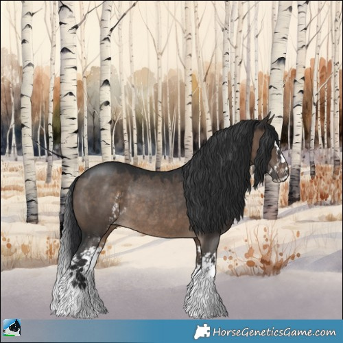 Horse Color:Brown Dun Sabino Splash Rabicano 
