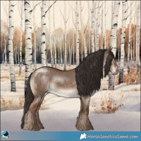 Horse Color:Liver Red Dun Rabicano Brindle