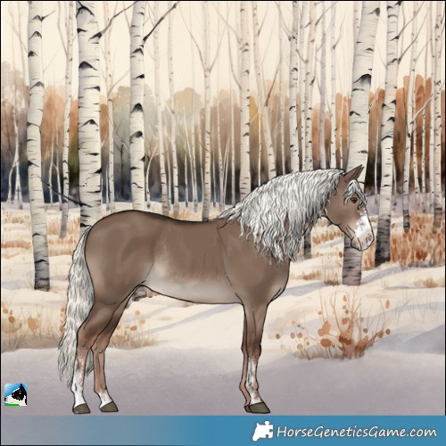 Horse Color:Liver Red Dun Mushroom Sabino Rabicano