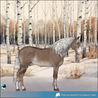 Horse Color:Liver Red Dun Mushroom Sabino Rabicano 