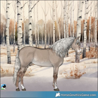 Horse Color:Liver Red Dun Mushroom Sabino 