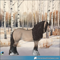 Horse Color:Bay Dun Sabino Rabicano 