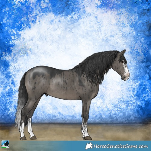 Horse Color:Grullo Mushroom Sabino Splash Rabicano Brindle 