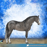 Horse Color:Grullo Mushroom Sabino Splash Rabicano Brindle 