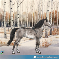 Horse Color:Brown Dun Mushroom Sabino Rabicano Brindle