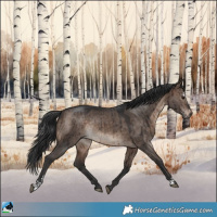 Horse Color:Brown Dun Mushroom Sabino Rabicano Brindle