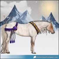 Horse Color:Chocolate Palomino Roan 