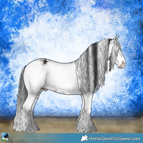 Horse Color:Grullo Sabino Splash Rabicano 