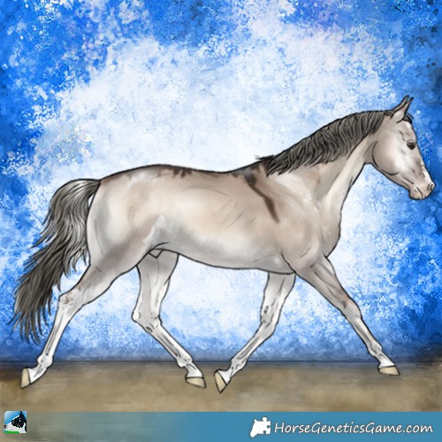 Horse Color:Liver Red Dun Onyx Mushroom Sabino 