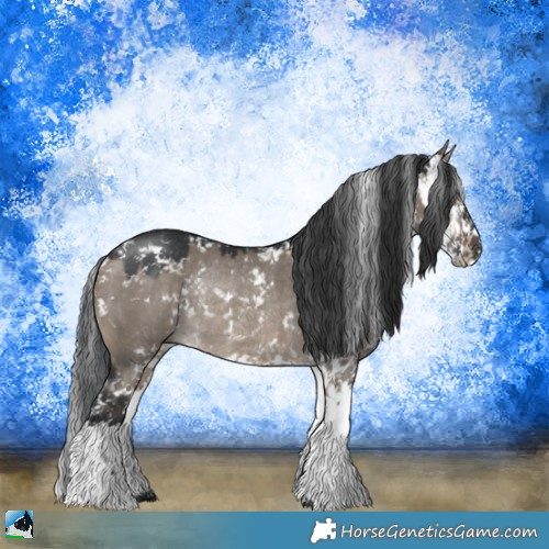 Horse Color:Brown Dun Mushroom Sabino Rabicano 