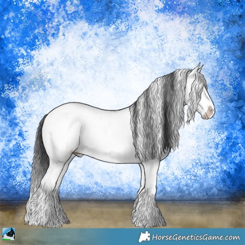 Horse Color:Brown Dun Sabino Splash Rabicano Brindle 