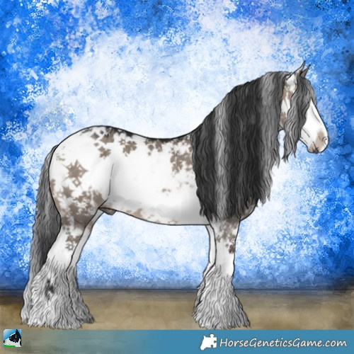 Horse Color:Brown Dun Mushroom Sabino 