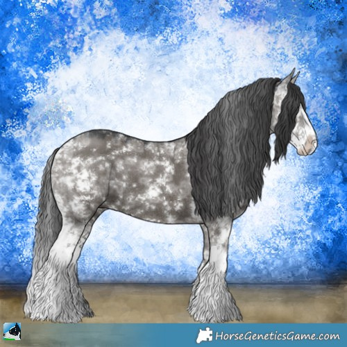 Horse Color:Grullo Ice Mushroom Sabino 