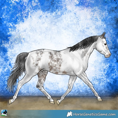 Horse Color:Brown Ice Dun Mushroom Sabino 