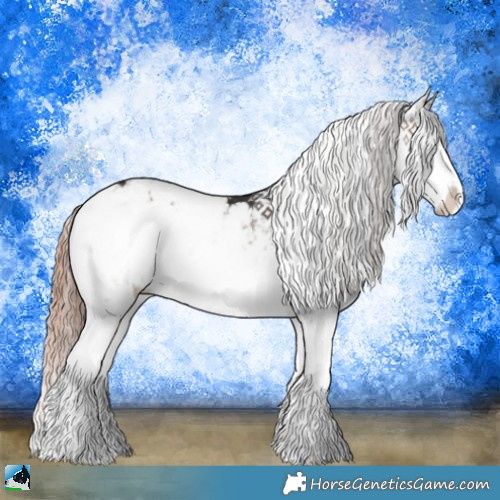 Horse Color:Liver Red Onyx Sabino Rabicano 