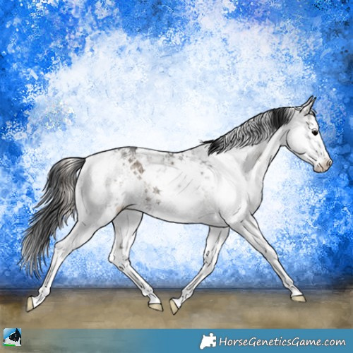 Horse Color:Grullo Ice Onyx Mushroom Sabino Rabicano Brindle 