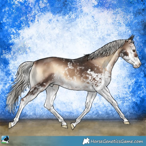 Horse Color:Liver Red Onyx Mushroom Sabino 
