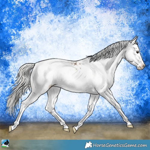 Horse Color:Liver Red Dun Onyx Mushroom Sabino Splash 