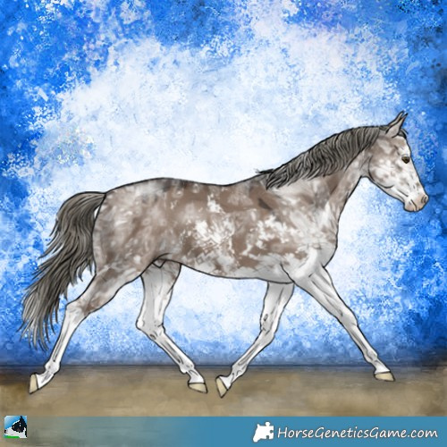 Horse Color:Liver Red Dun Ice Mushroom Sabino 