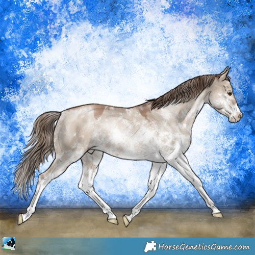 Horse Color:Grullo Pearl Mushroom Sabino Rabicano 