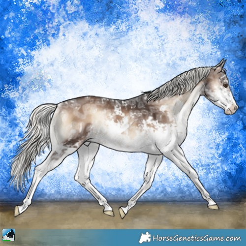 Horse Color:Liver Red Onyx Ice Mushroom Sabino Rabicano 