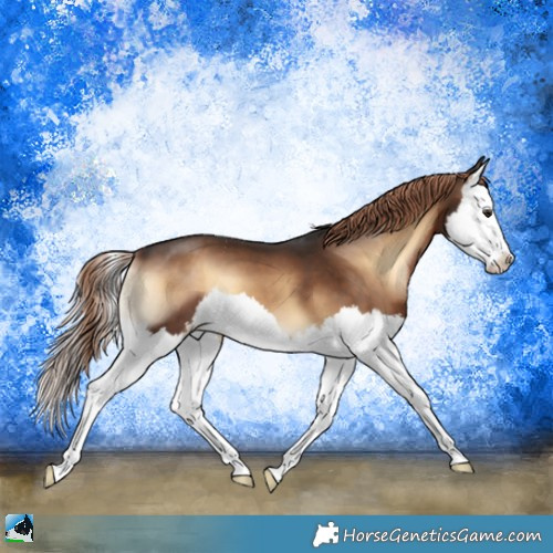 Horse Color:Liver Red Onyx Splash 