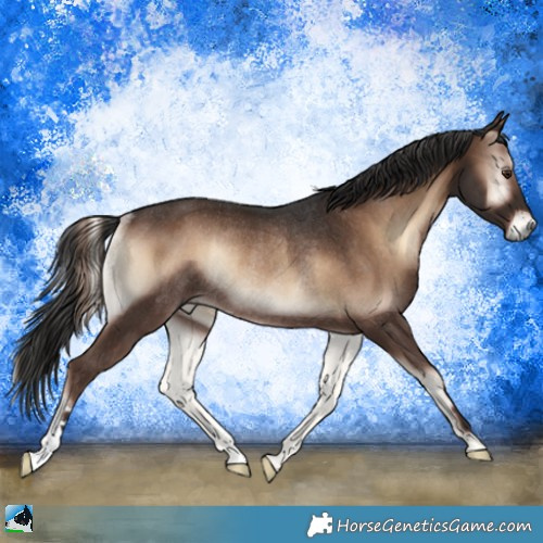 Horse Color:Liver Red Onyx Rabicano 