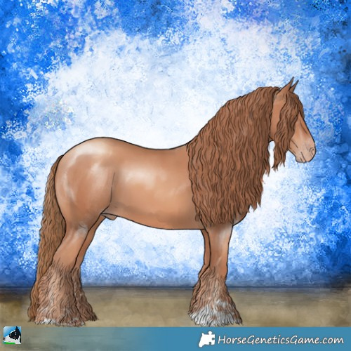 Horse Color:Gold Champagne Sabino 