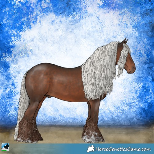 Horse Color:Liver Chestnut Mushroom Sabino 