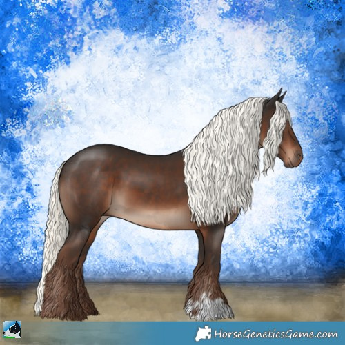 Horse Color:Liver Chestnut Mushroom 