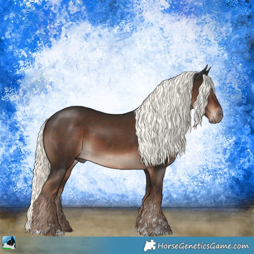 Horse Color:Liver Chestnut Mushroom Sabino 