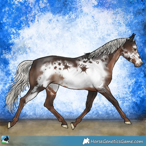 Horse Color:Liver Chestnut Mushroom Frame 