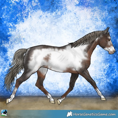 Horse Color:Liver Chestnut Mushroom Frame Rabicano 