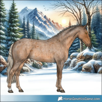 Horse Color:Chocolate Palomino Roan 