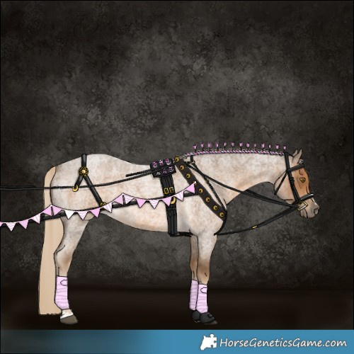 Horse Color:Chocolate Palomino Roan