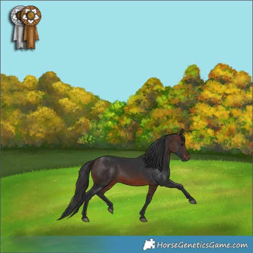 Horse Color:Brown 
