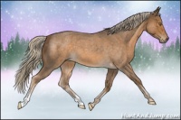 Horse Color:Chocolate Palomino Roan